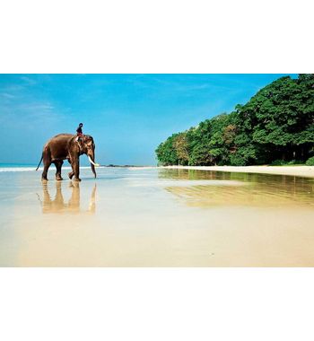 Тур на Гоа из Узбекистана — прямой рейс в место райского отдыха у океана!